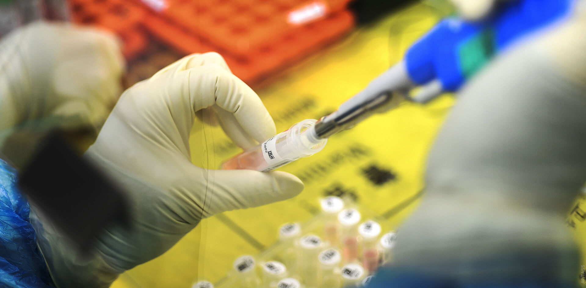 Европа и США обвиняют Китай в пандемии коронавируса