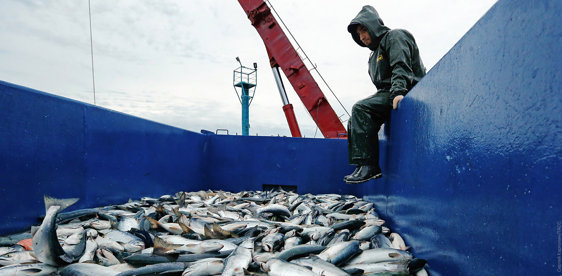 Как малочисленным народам Севера выживать без рыболовства?