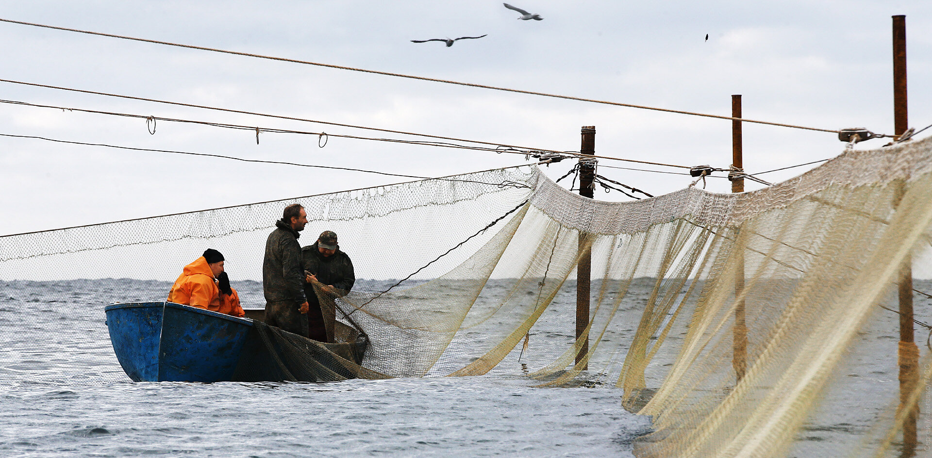 Рыболовецкую отрасль Крыма тянет на дно старый флот