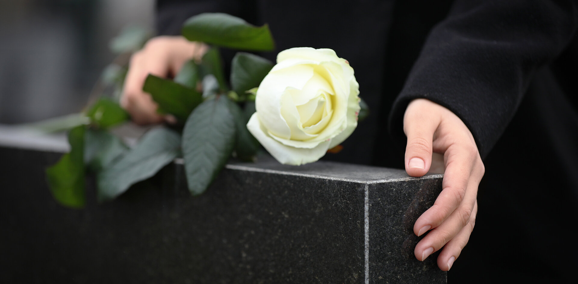 Депутаты Госдумы предложили сделать похороны государственной услугой