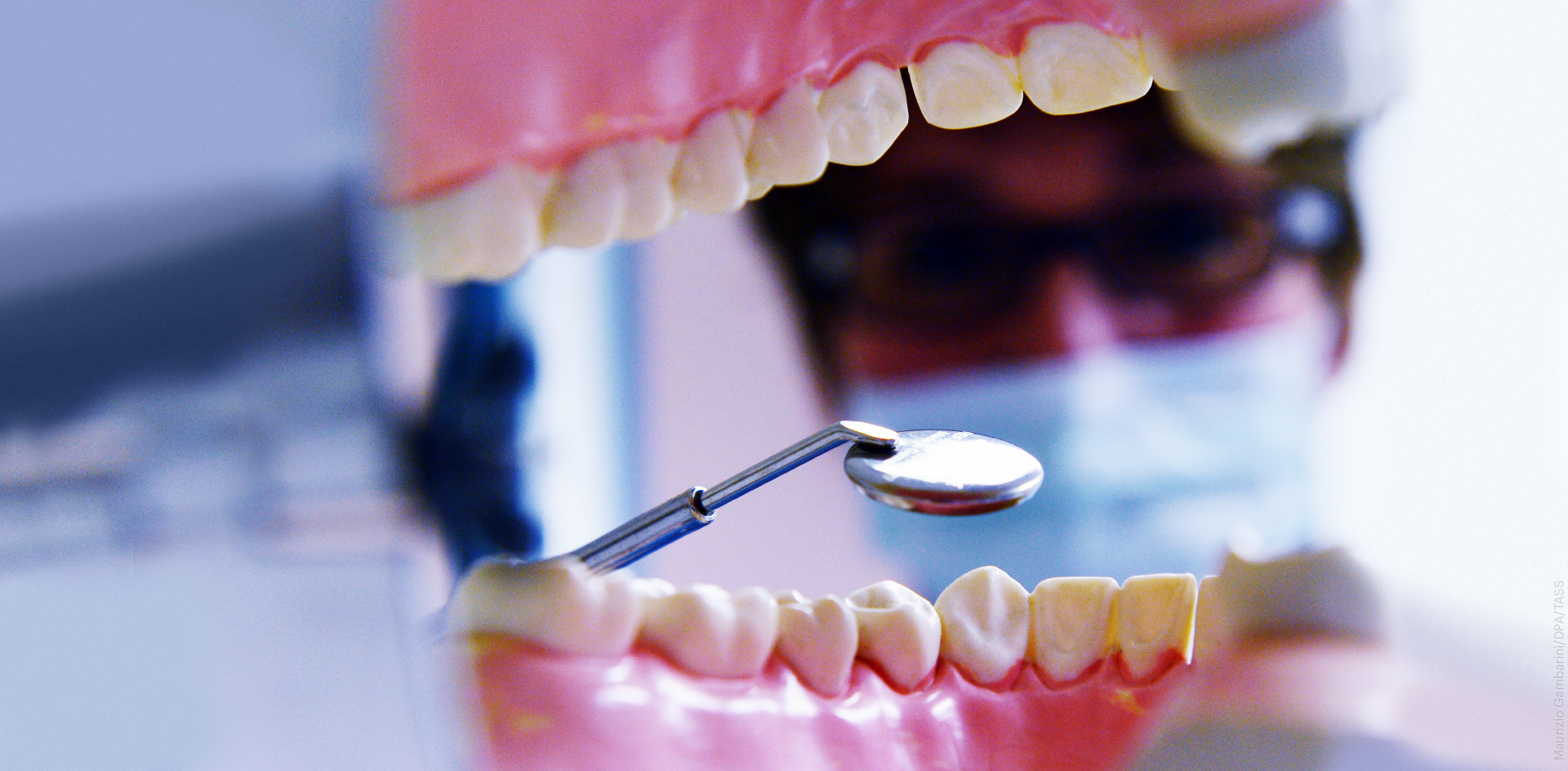 Стоматологи показали зубы