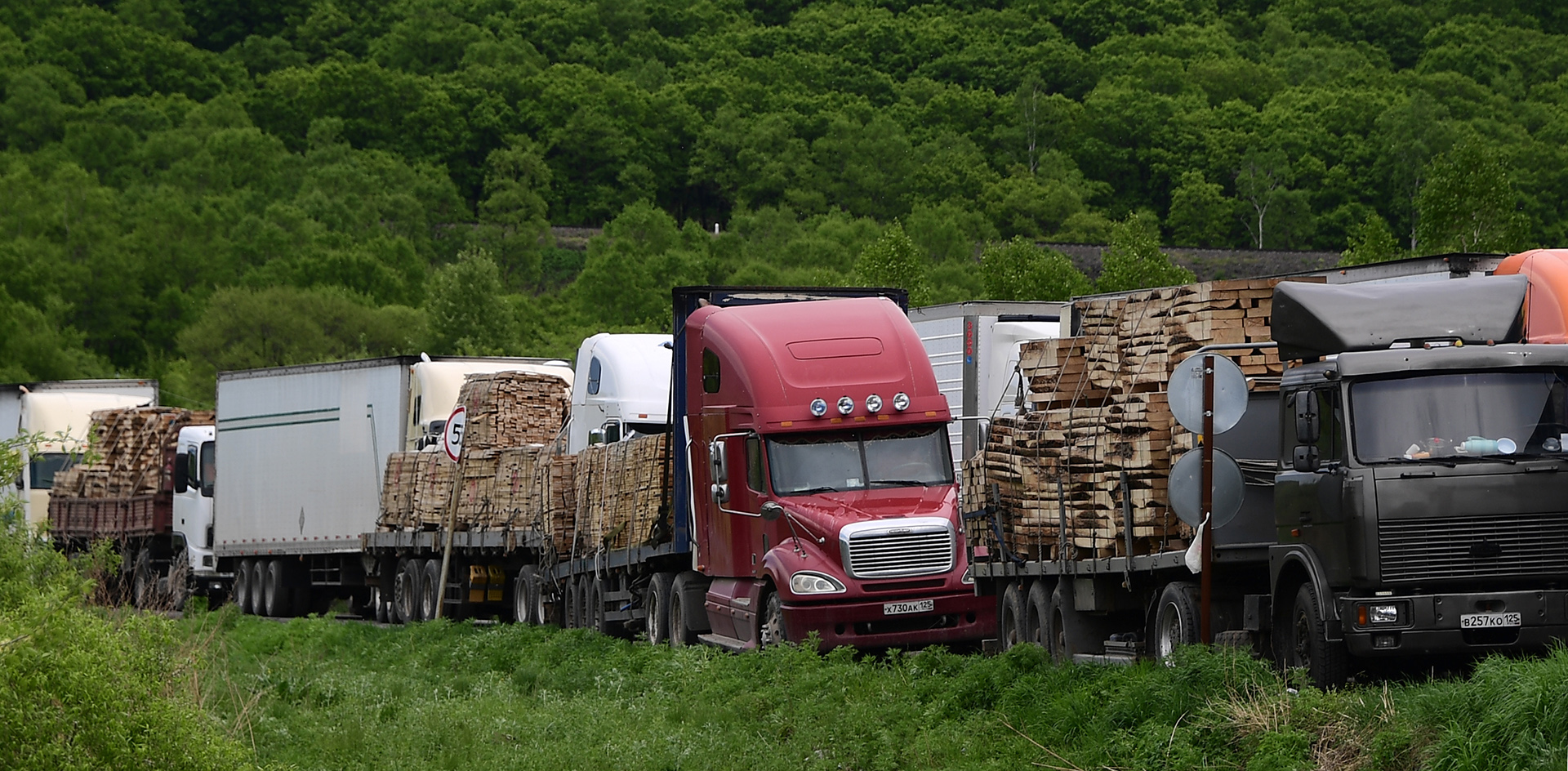 Китай снижает цены на лес
