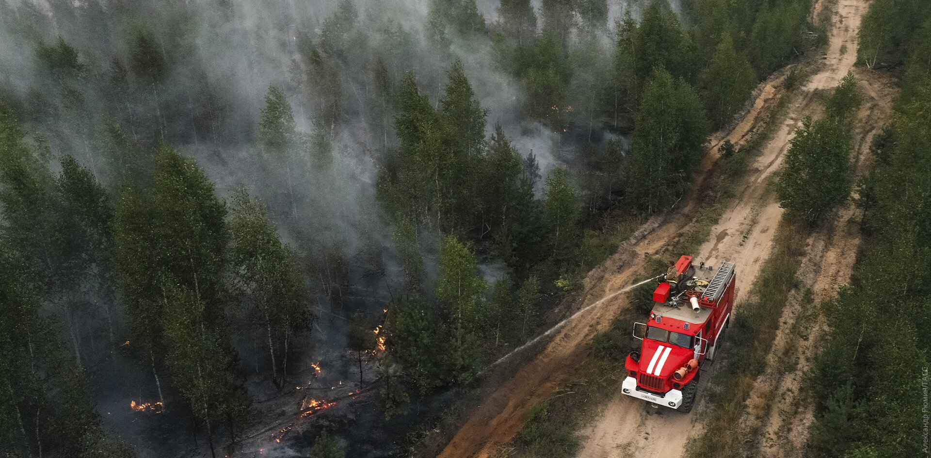 Почему лесные пожары в России стали большой политикой