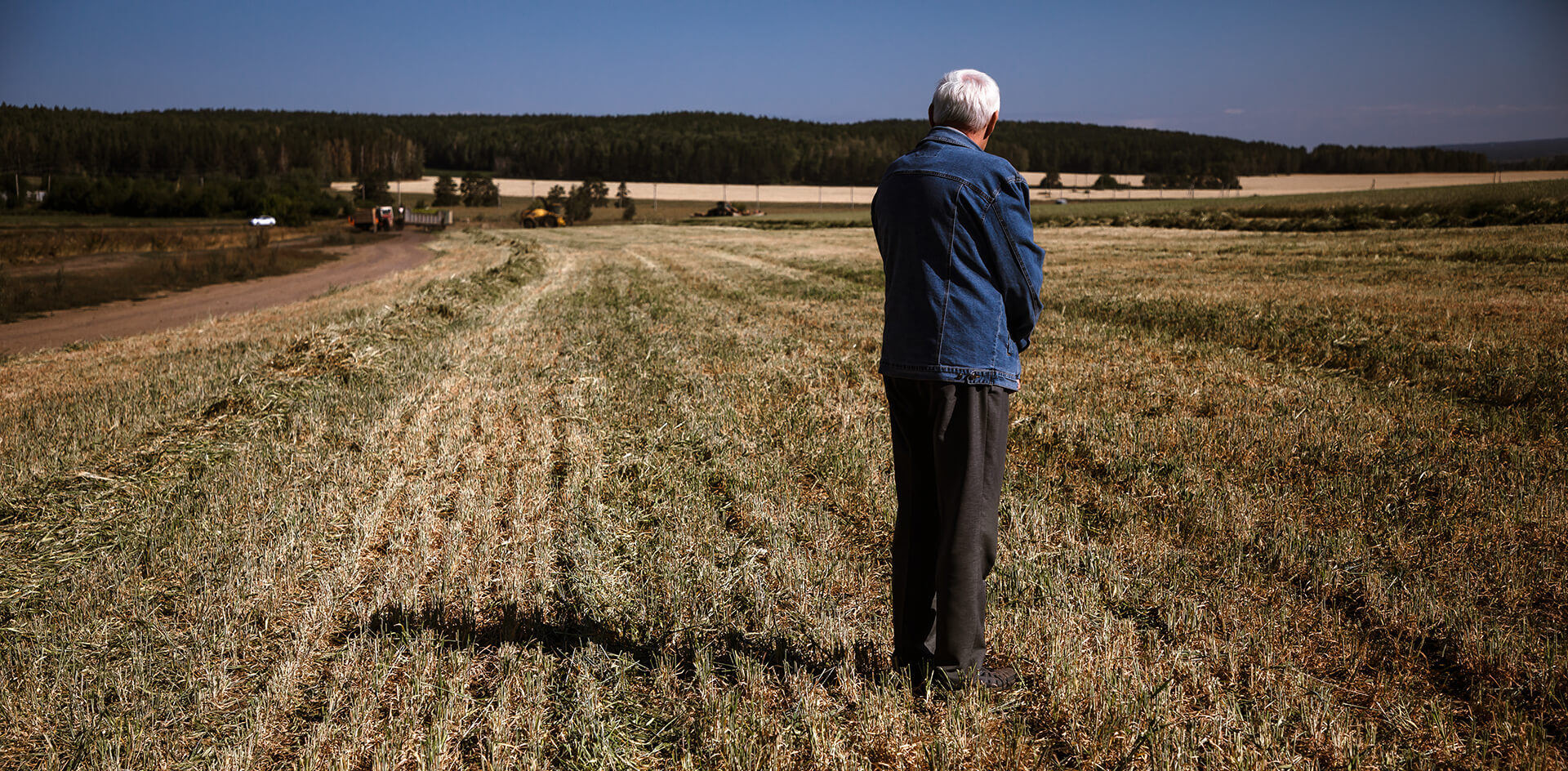 Богатый урожай обернулся против южноуральских производителей зерна