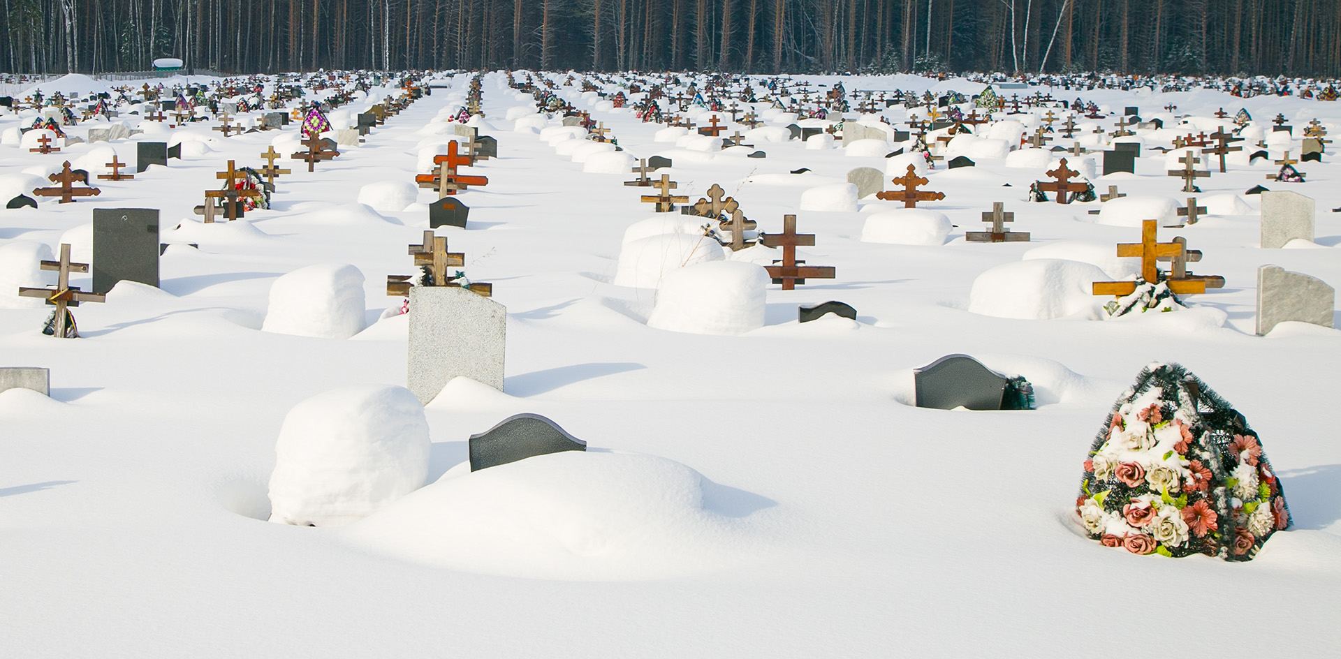 Территорию хабаровского посёлка захватывает кладбище