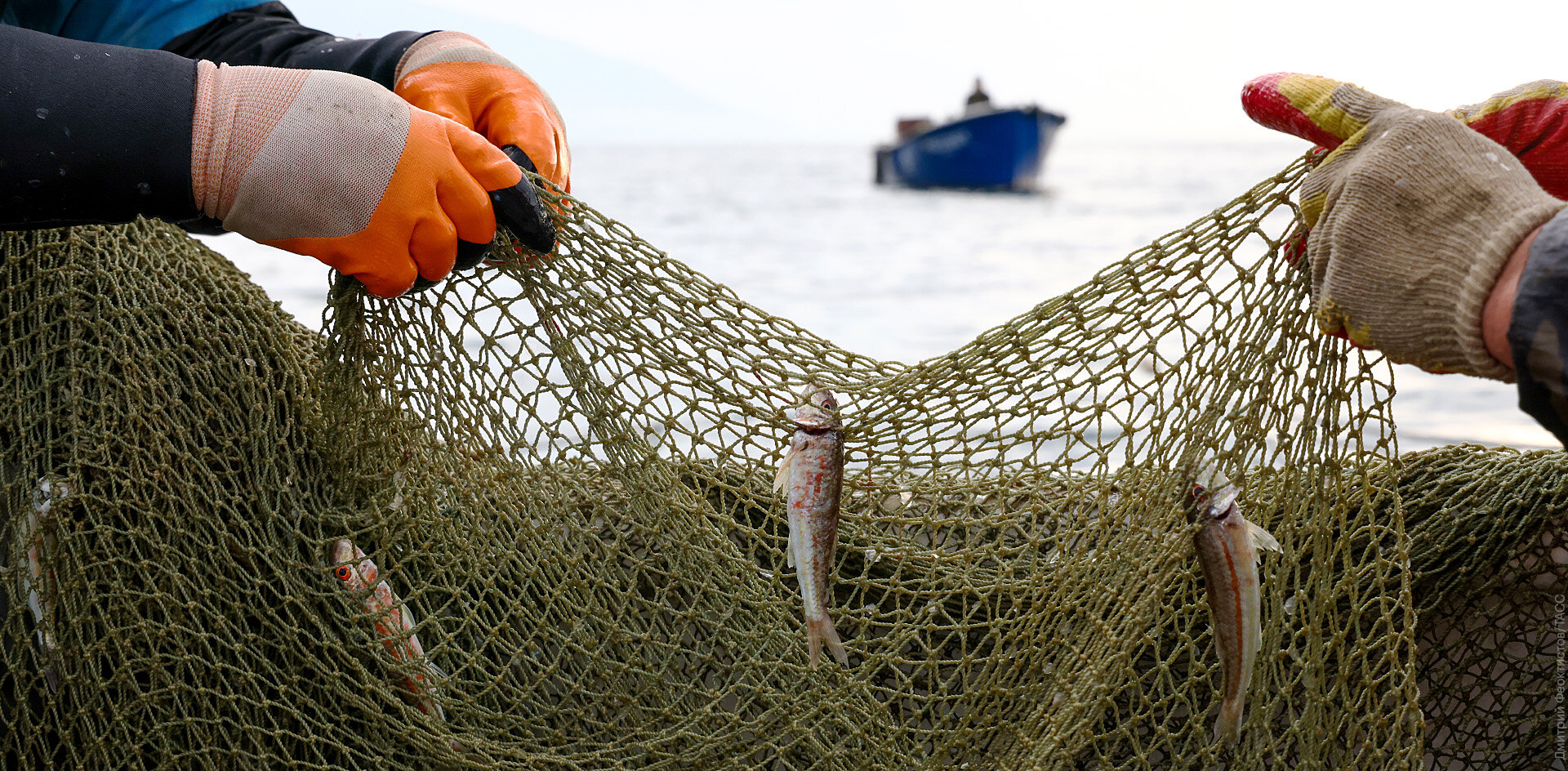 На Богучанском водохранилище начинается промышленный лов рыбы