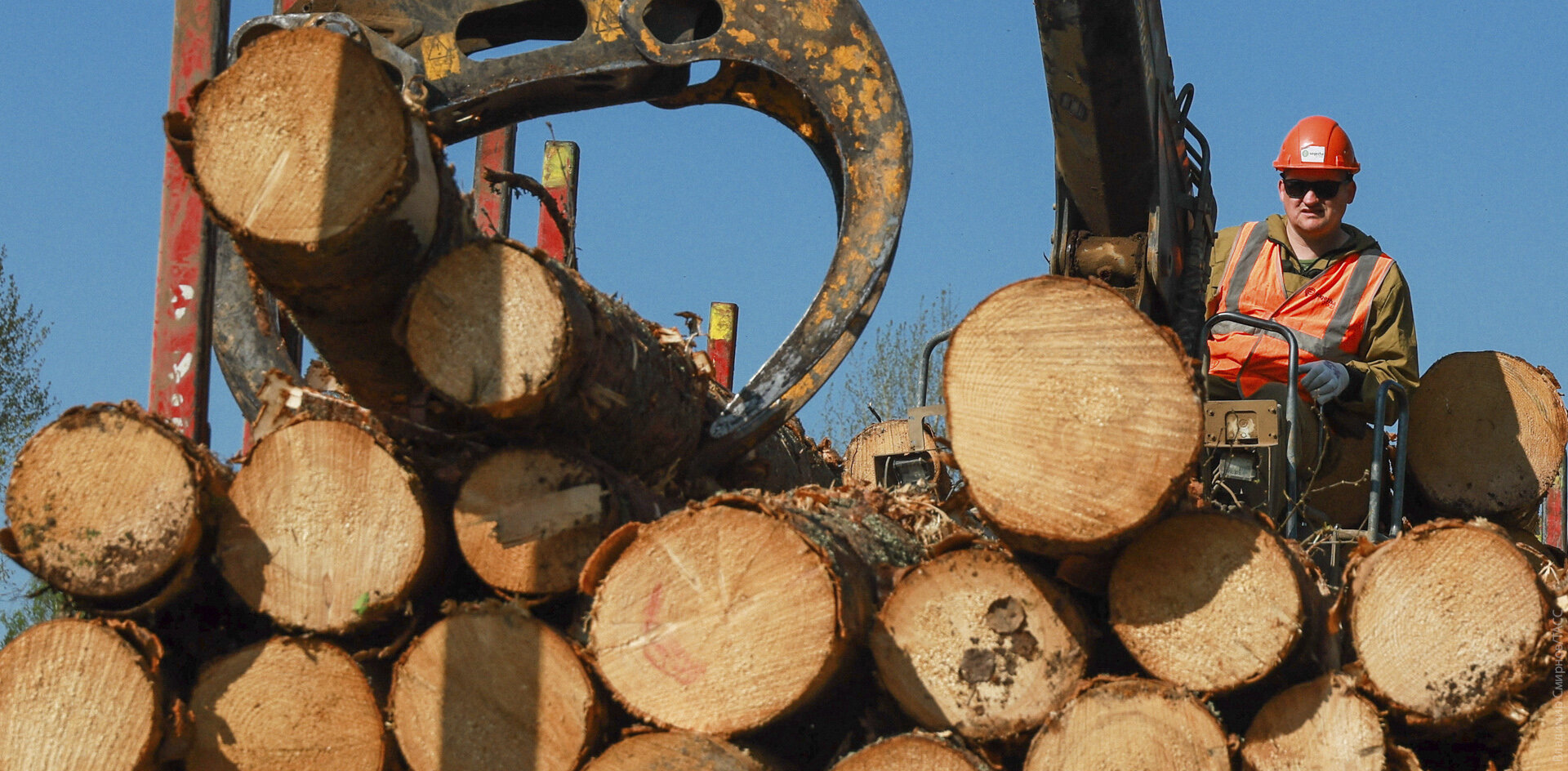 В ДФО бизнес хочет продавать необработанную древесину за рубеж