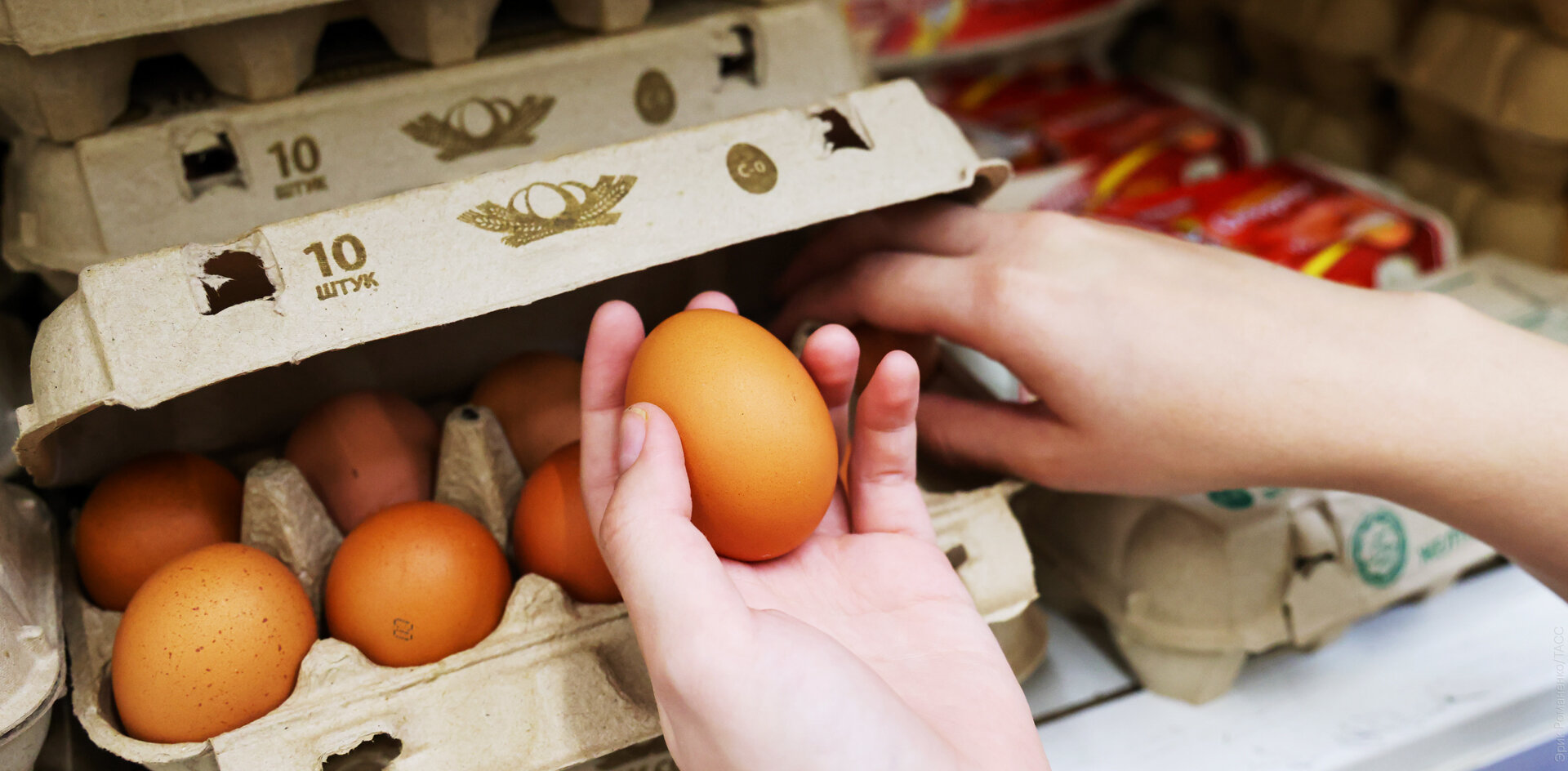 Власти ищут способ остановить рост цен на яйца