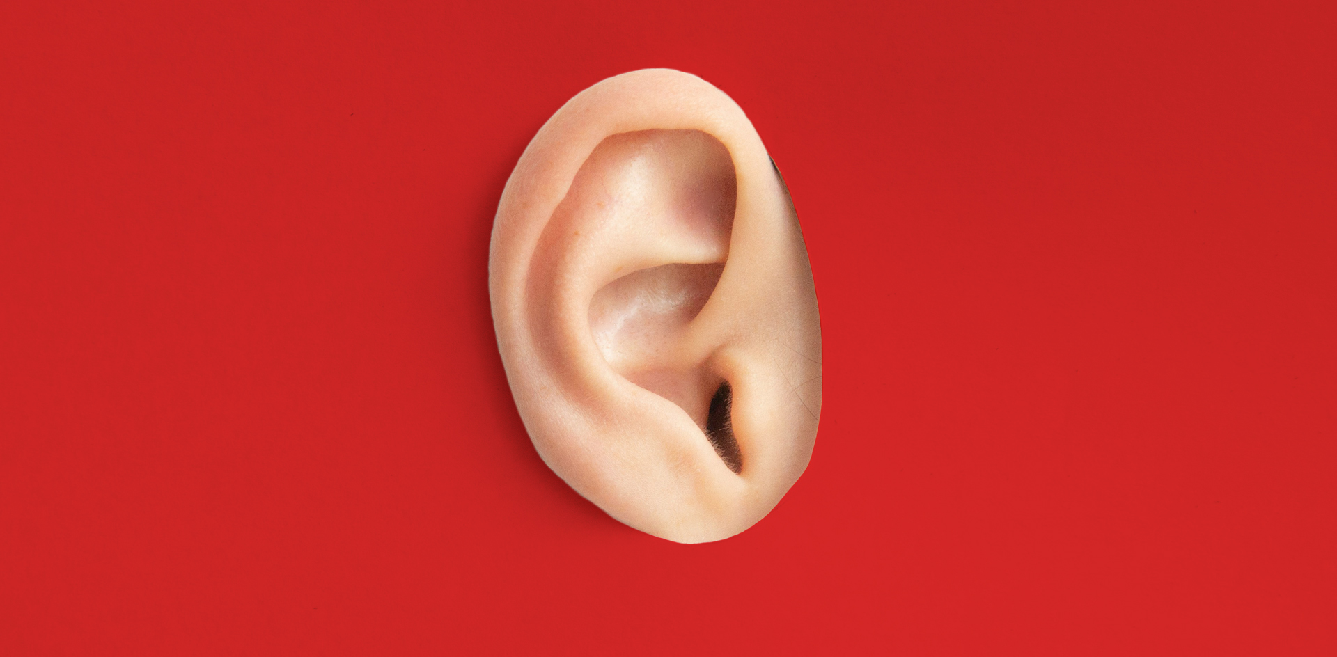 Проверка слухов