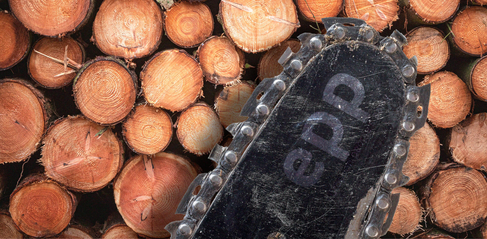 Климатическая повестка трещит по всем швам