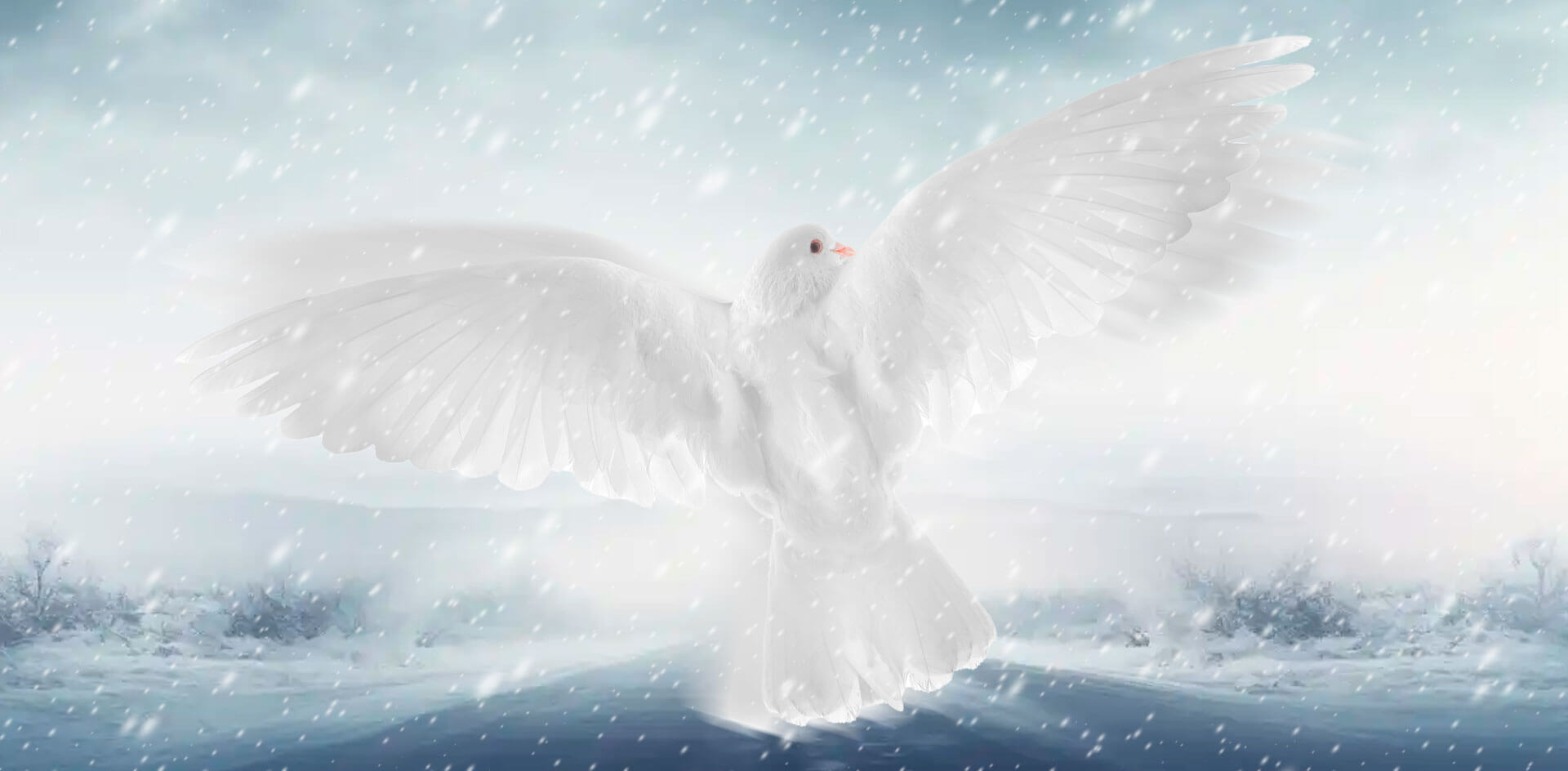 Переговоры по Украине: возможен ли прорыв в 2026 году