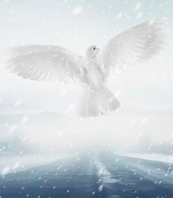 Переговоры по Украине: возможен ли прорыв в 2026 году