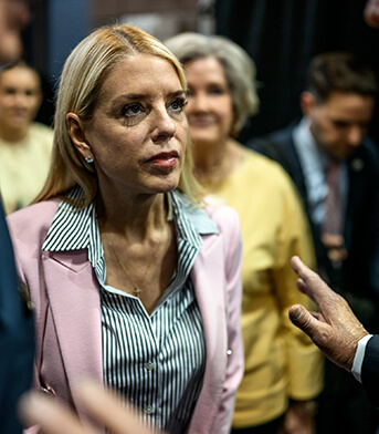 Большая политическая порка