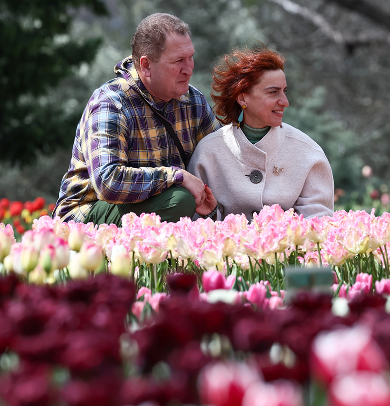 В Крым на майские праздники за тюльпанами и сыром