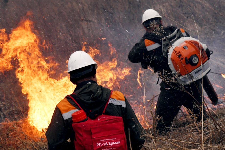 Новый лесной кодекс сделал работу лесников, которые могут предотвратить пожары, бесполезной.