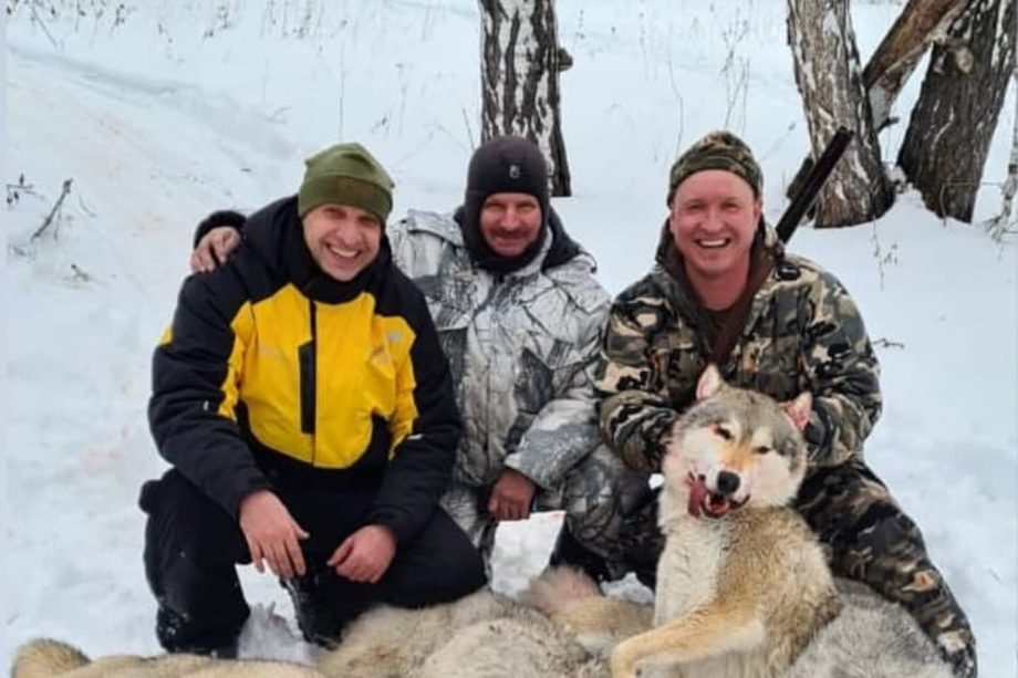В соцсетях появились видео и фото с охоты, участники которой сбили волка на снегоходе и переехали его, чтобы добить.