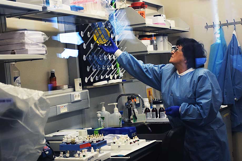 Лабораторию имени Ричарда Лугара в Грузии подозревают в разработках биологического оружия.