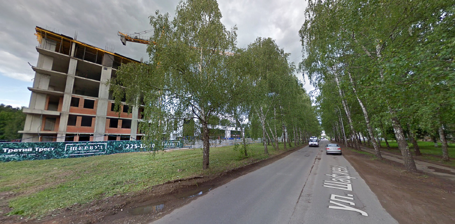 Деревья по улице Шафиева под угрозой исчезновения.