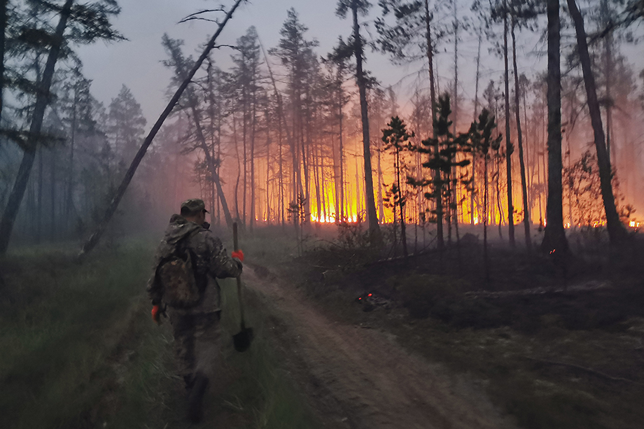 Пожары продолжаются на общей площади в 1,5 млн гектаров.