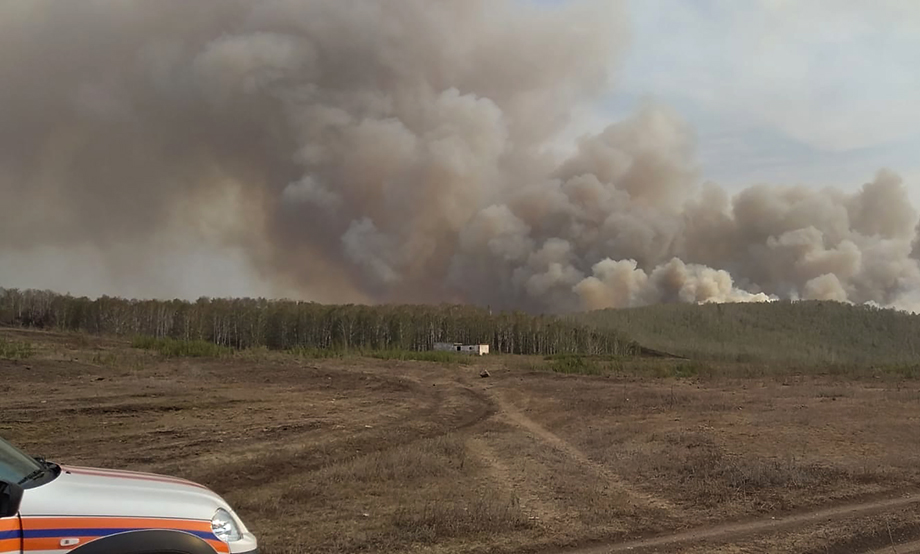 В этом году число лесных пожаров в регионе выросло на 184 по сравнению с 2020 годом.
