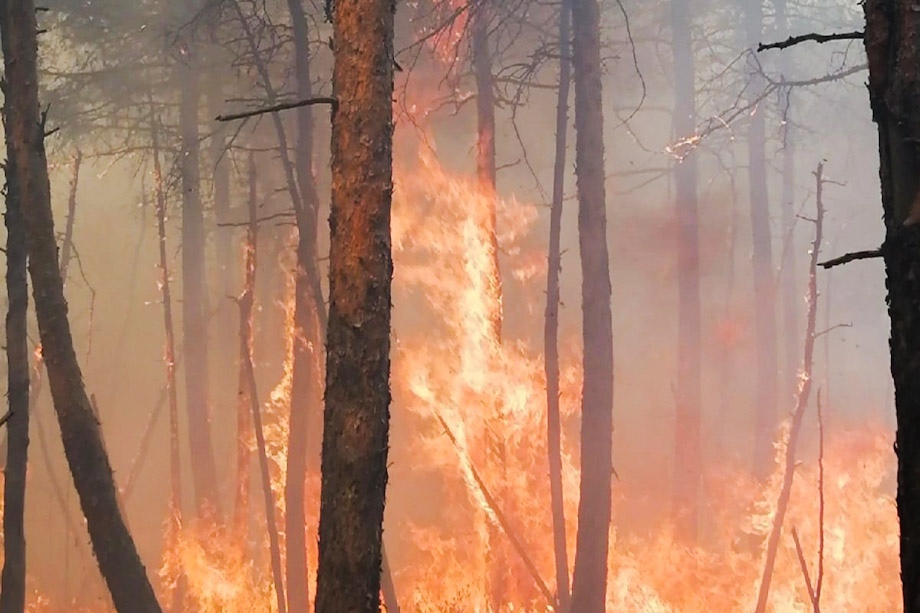 Пожар на Волчихинском водохранилище идёт в лес.