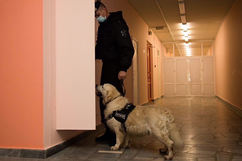 Кинологи со служебными собаками проверяют участки для голосования на наличие опасных предметов.
