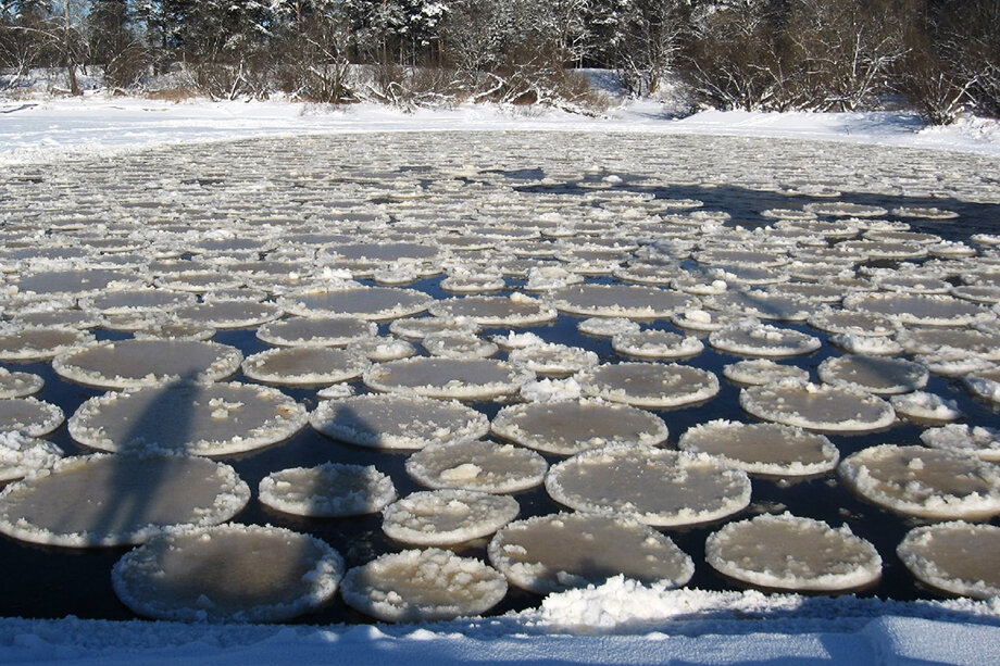 Жительница Псковской области Наталья Алексеева опубликовала в соцсетях фотографии ледяных блинчиков.