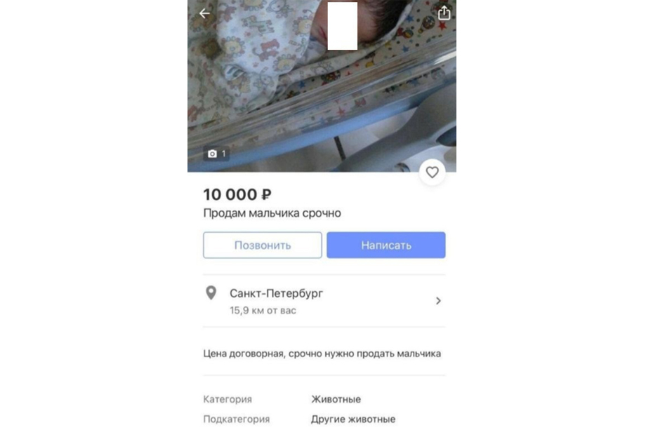 Шокирующее объявление появилось в социальных сетях и попало в категорию «животные».