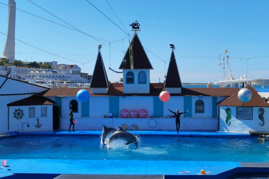Арбитражный суд Севастополя отказал властям города в закрытии дельфинария.