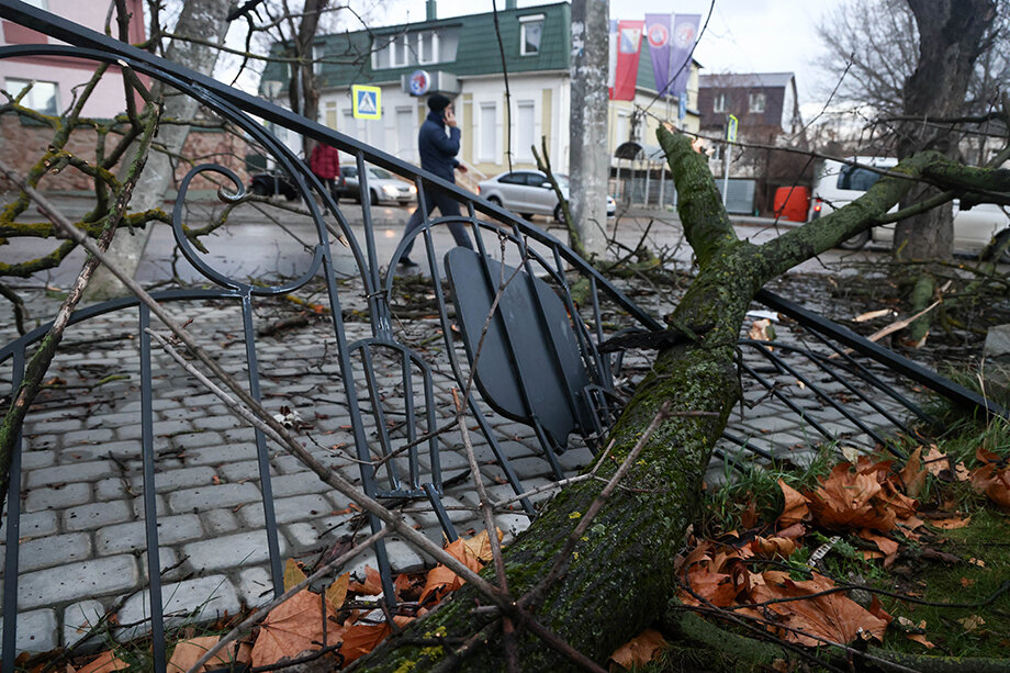 В конце ноября в Крыму ураган с корнями вырывал деревья, сносил крыши домов и рекламные конструкции