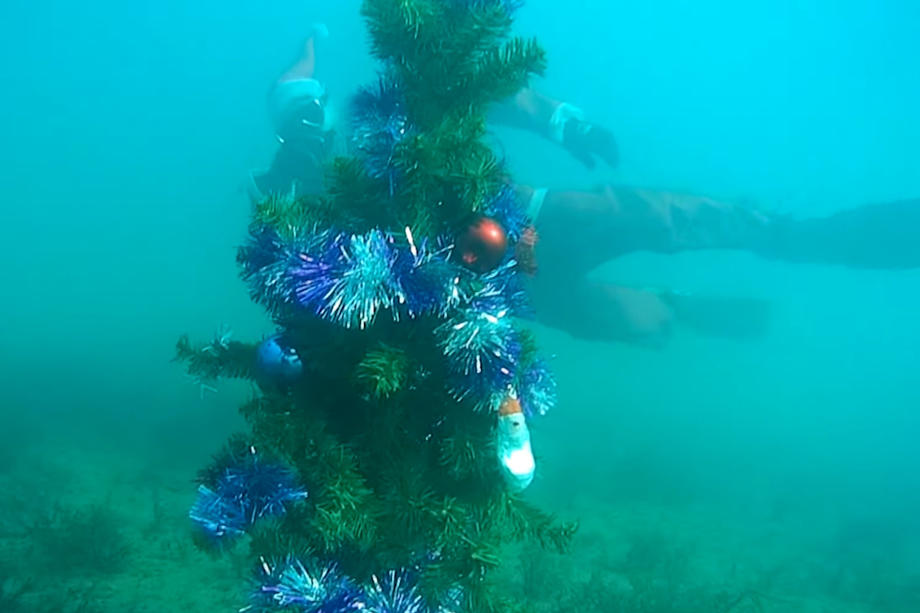 Новогоднюю красавицу установили на глубине 10 метров