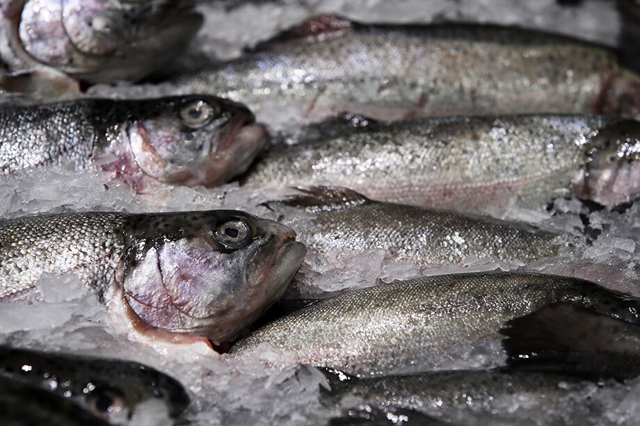 Практически весь объём экспорта продукции аквакультуры приходится на мороженую рыбу, филе рыбы и ракообразных.