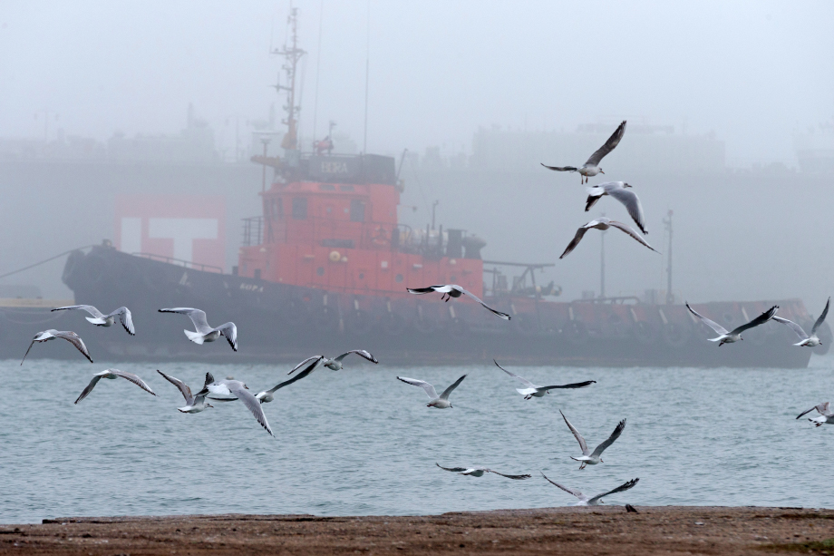 В Керченском порту есть ограничения по выходу в море, но его сотрудники считают их кратковременными.