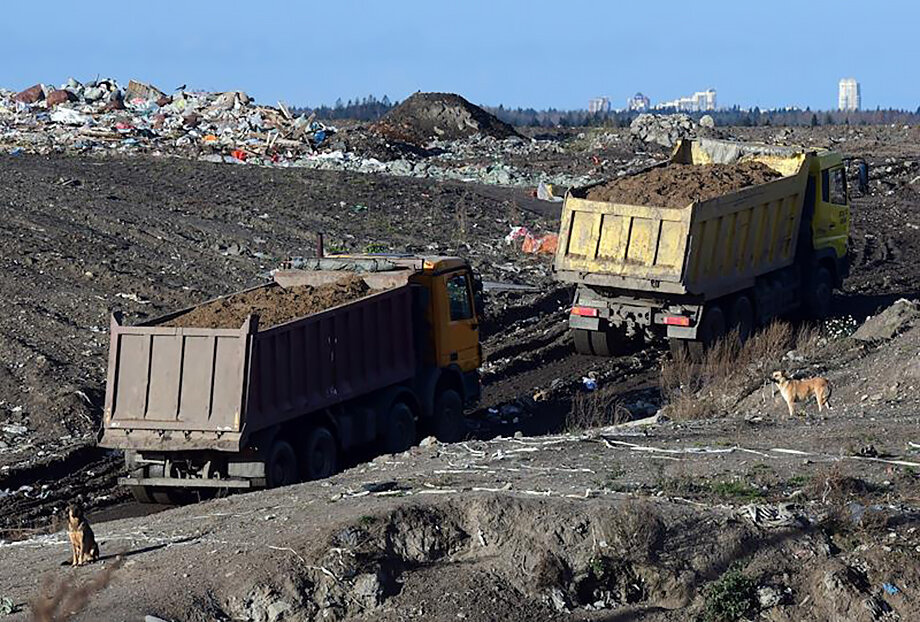 Участки в районе Муринского поселения и в Новой Ижоре предназначены для перегрузки ТКО в более крупные транспортные средства для последующего вывоза на переработку или утилизацию.