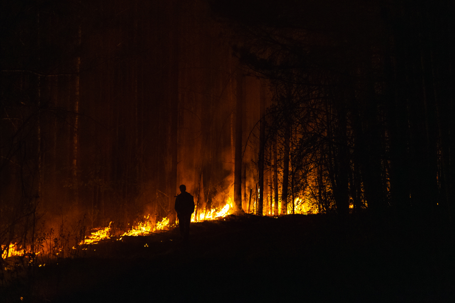 Последнее природное возгорание было зафиксировано 19 апреля в Асбестовском районе на площади 0,2 гектара.