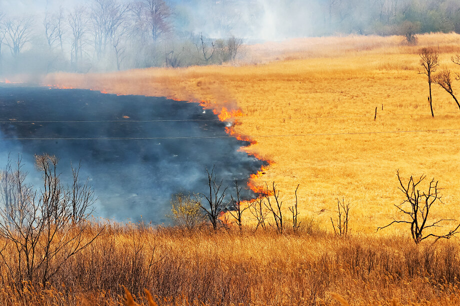 Как правило, причиной первых лесных пожаров становится неконтролируемый весенний отжиг травы.