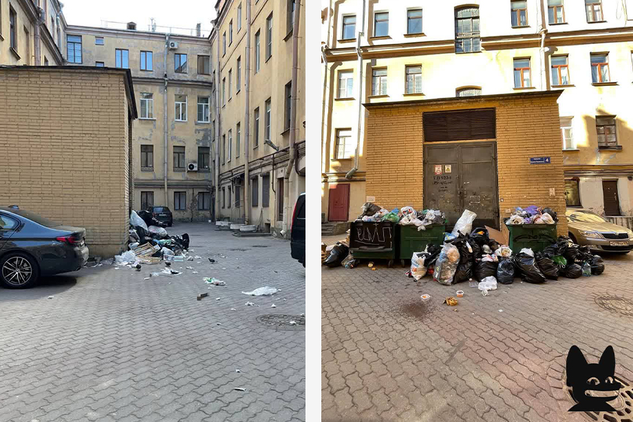 Ксения Собчак раскритиковала власти Санкт-Петербурга за плохую организацию уборки мусора в центре города.