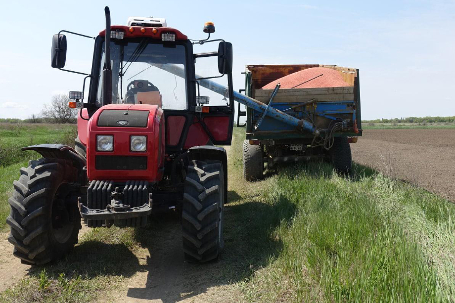 В Нижнегорском районе Крыма рисом засеяли 100 процентов планируемой площади.