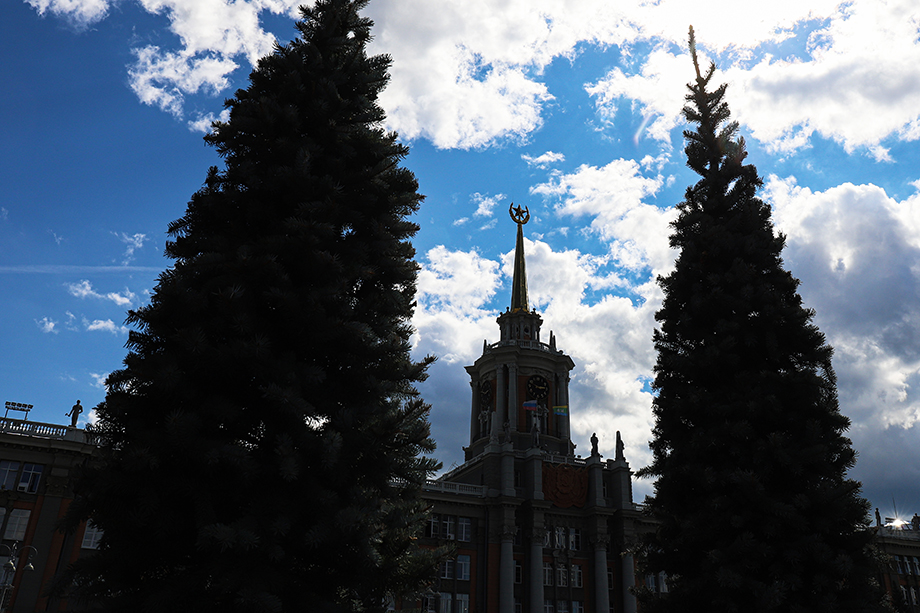 Городские власти с группой меценатов решили сделать подарок к 300-летию столицы Среднего Урала и заменить старые больные деревья.