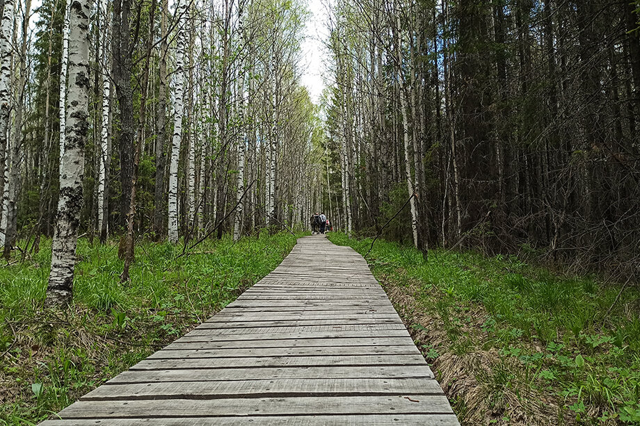 Ecological trail in the Visimsky State Reserve.