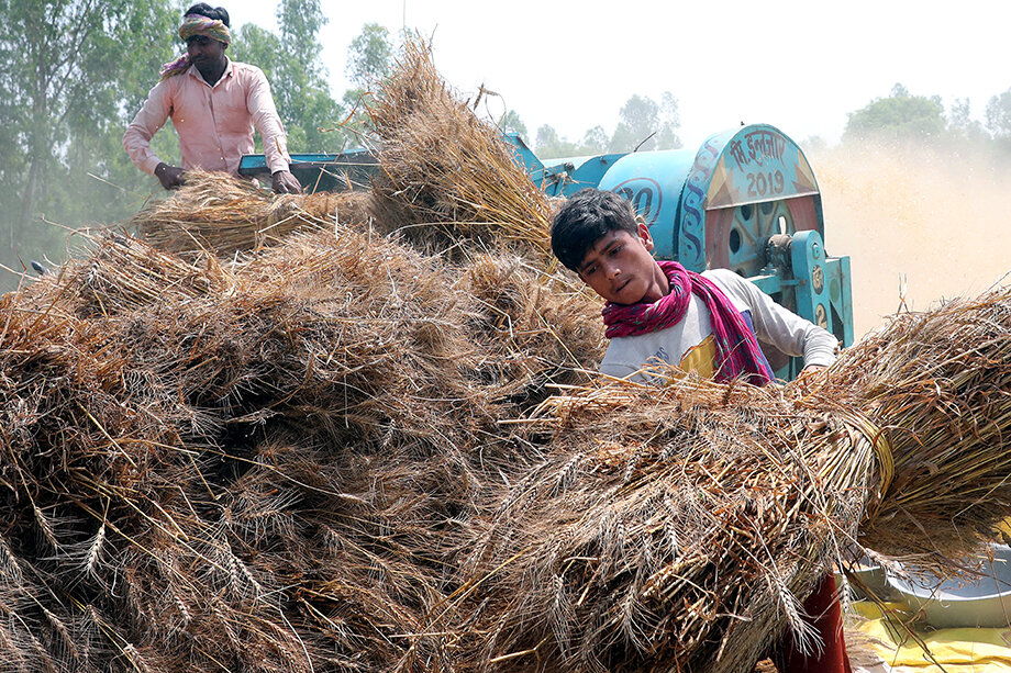 Индия, второй по величине производитель пшеницы в мире, экспортировала 8,2 млн тонн в год до марта 2022 года.