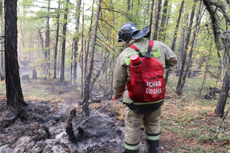 С начала сезона огонь прошёл почти 30 тыс. гектаров.