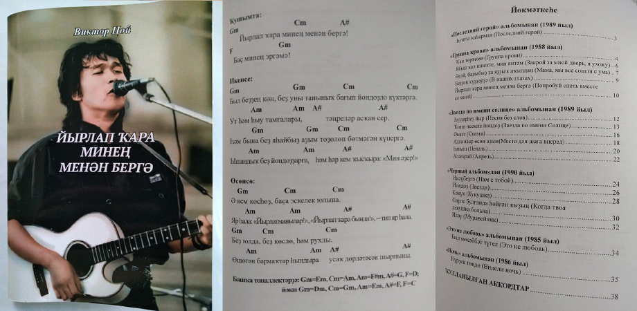 В издании переводы 19 песен лидера рок-группы «Кино» с гитарными аккордами.