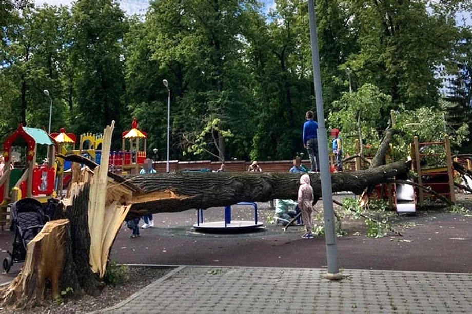 Дерево в уфимском парке упало на детскую площадку ночью, пострадавших нет.