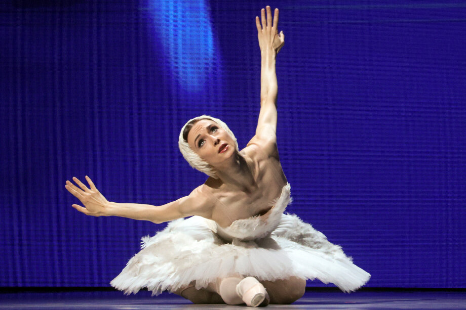 Участие в концерте примут балерина Большого театра Светлана Захарова и другие звёзды мирового балета.