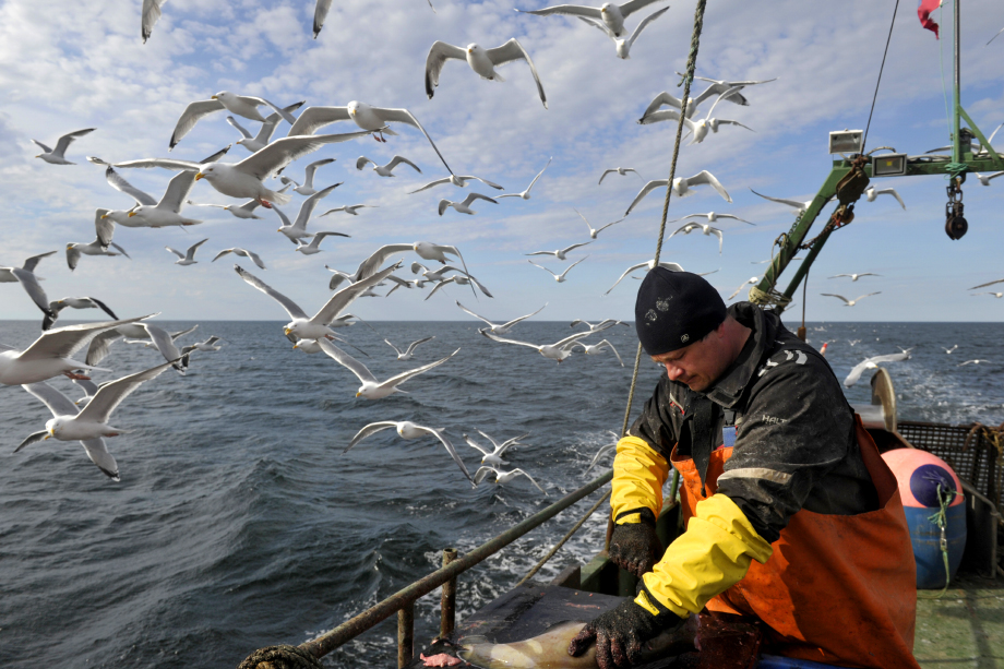В ближайшее время в России может возникнуть острая нехватка рыбопромысловых судов.