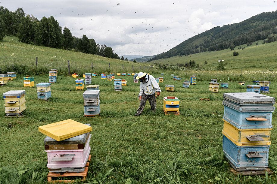 В 2005 году в Красноярском крае производили 1,5 тыс. тонн мёда.