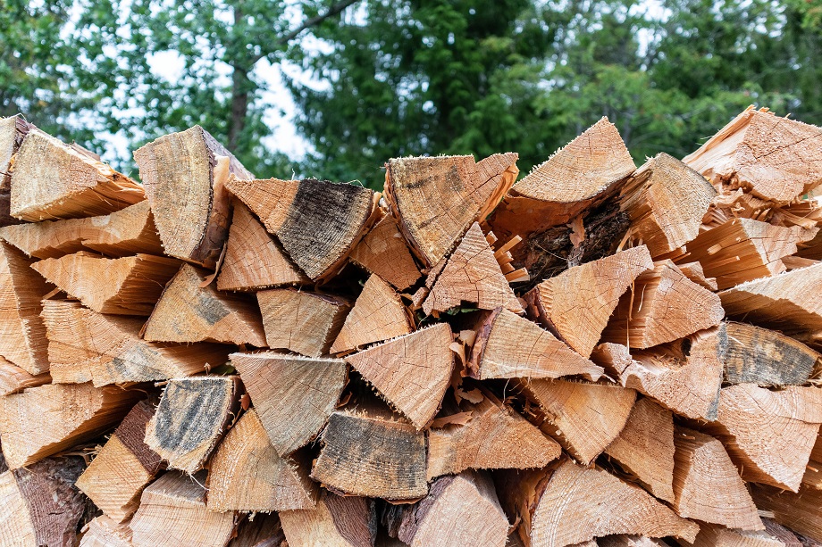 Молдавия обсуждает поставку дров из Румынии