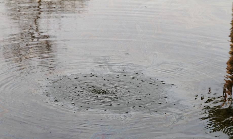 По данным Всемирной метеорологической организации водно-болотные угодья планеты стали более влажными и тёплыми