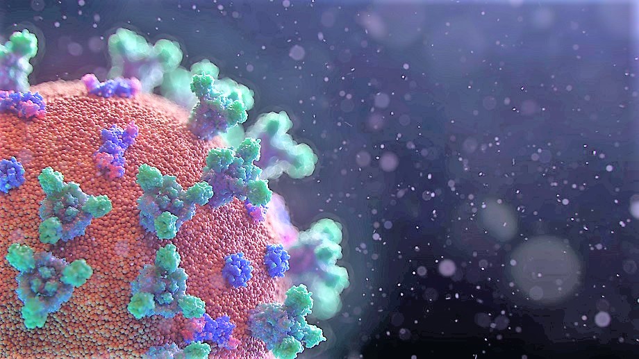 Управление здравоохранения Дании признало коронавирус обычным заболеванием